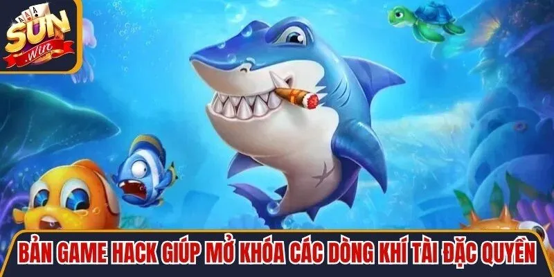 Bản game hack giúp mở khóa các dòng khí tài đặc quyền