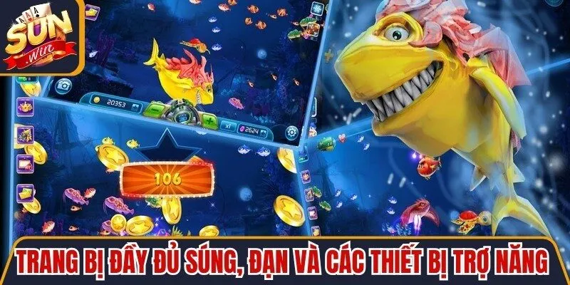 Trang bị đầy đủ súng, đạn và các thiết bị trợ năng phù hợp