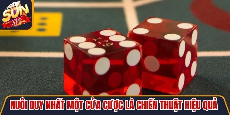 Nuôi duy nhất một cửa cược là chiến thuật hiệu quả nên thử